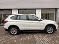 BMW X1 sdrive 18d AUTOMATICA NAVIGATORE PREZZO REALE Bianco - thumbnail 5