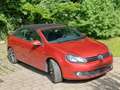 Volkswagen Golf Cabriolet Golf Cabrio 1.2 TSI Cup Rot - thumbnail 1
