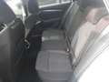 Skoda Octavia Combi 2.0 TDI DSG STYLE *LED *ACC *VIRTUAL *NAVI Wit - thumbnail 14