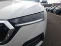 Skoda Octavia Combi 2.0 TDI DSG STYLE *LED *ACC *VIRTUAL *NAVI Wit - thumbnail 6