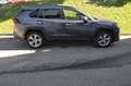 Toyota RAV 4 RAV4 Hybrid RAV 4 2.5 4x4 Lounge Gris - thumbnail 5