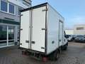 Iveco Sonstige Iveco Daily 50C/35 50-170 Automatik Kühlkoffer Weiß - thumbnail 3