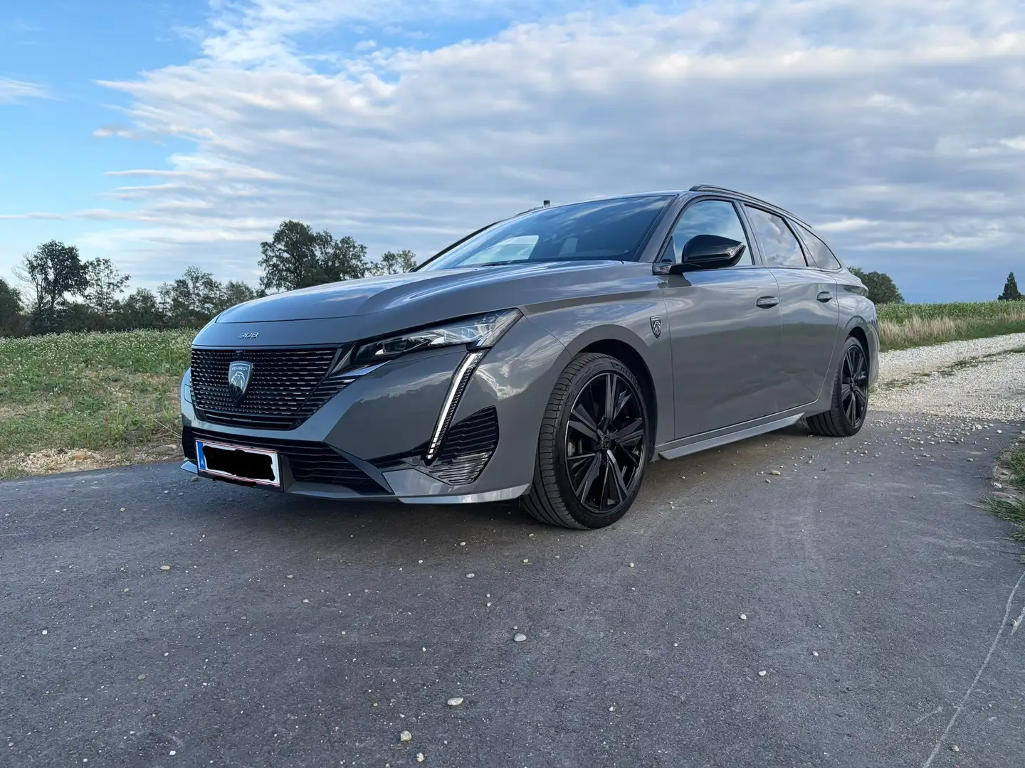 Peugeot 308 308 SW BlueHDi 130 S Grau - 1