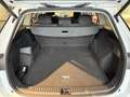 Skoda Kodiaq 1.5 TSI DSG mHEV Selection Navi+Winterpaket+AHK+++ Weiß - thumbnail 12