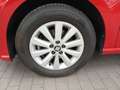 SEAT Ibiza 1.0 TSI Style DSG *Vision+* Rot - thumbnail 7