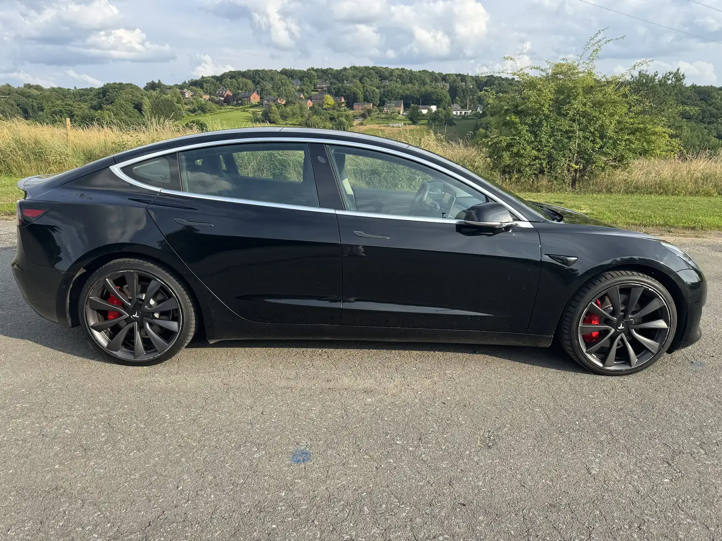Tesla Model 3 75 kWh Performance Dual Motor - 1