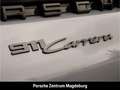 Porsche 992 (911) Carrera*BOSE*INNO*SPORTABG*SHZ* Gris - thumbnail 29