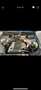 Audi A4 1.6 Grau - thumbnail 11