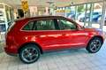 Audi Q5 2.0 TFSI quattro (165kW) Piros - thumbnail 5