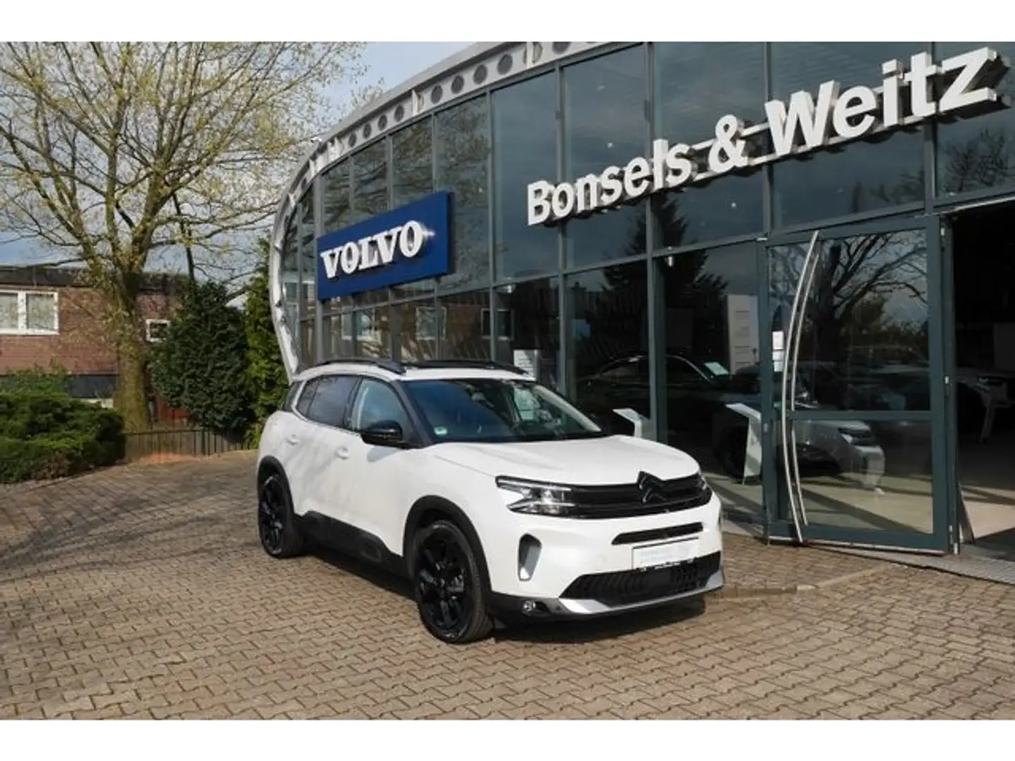 Citroen C5 Aircross Shine Pack AHK Automatik Panorama Schiebedach White - 1