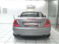 Mercedes-Benz SLK 280 SLK 280 7G-TRONIC AMG Scheckheft Navi BiXenon Gris - thumbnail 6
