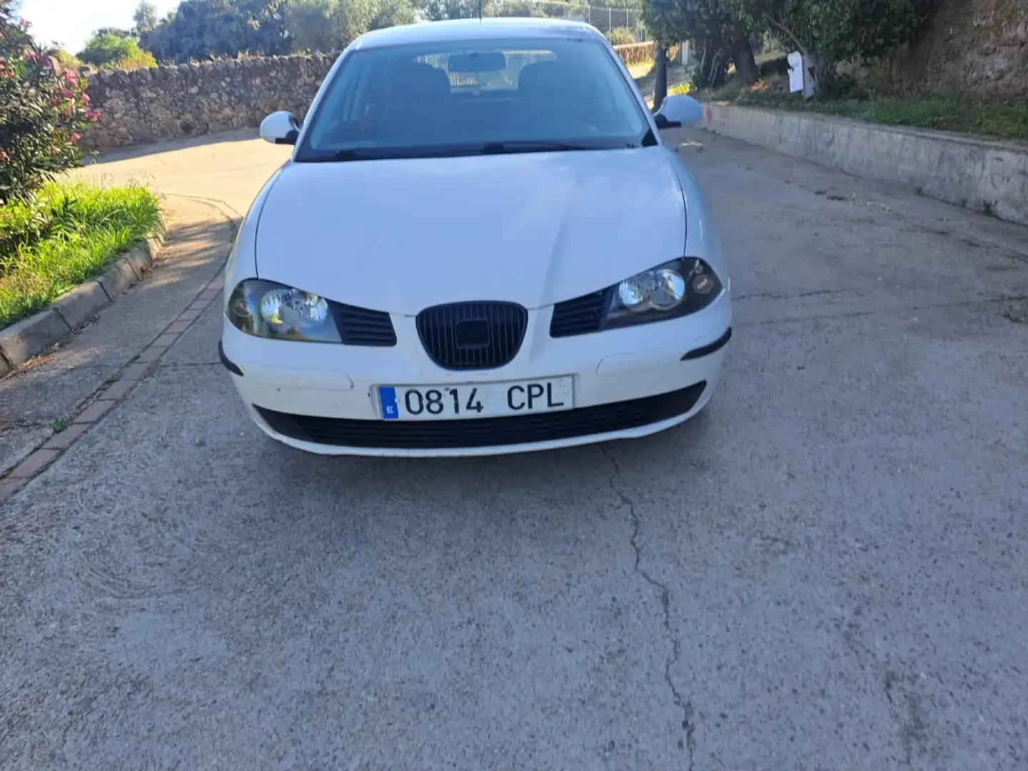 SEAT Ibiza 1.9 SDi Stella - 1