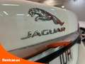 Jaguar XF 2.2 Diesel Luxury Aut. Blanco - thumbnail 9