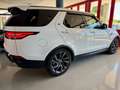 Land Rover Discovery 2.0 sd4 HSE Luxury 240cv 7p.ti auto FINANZIABILE - thumbnail 8