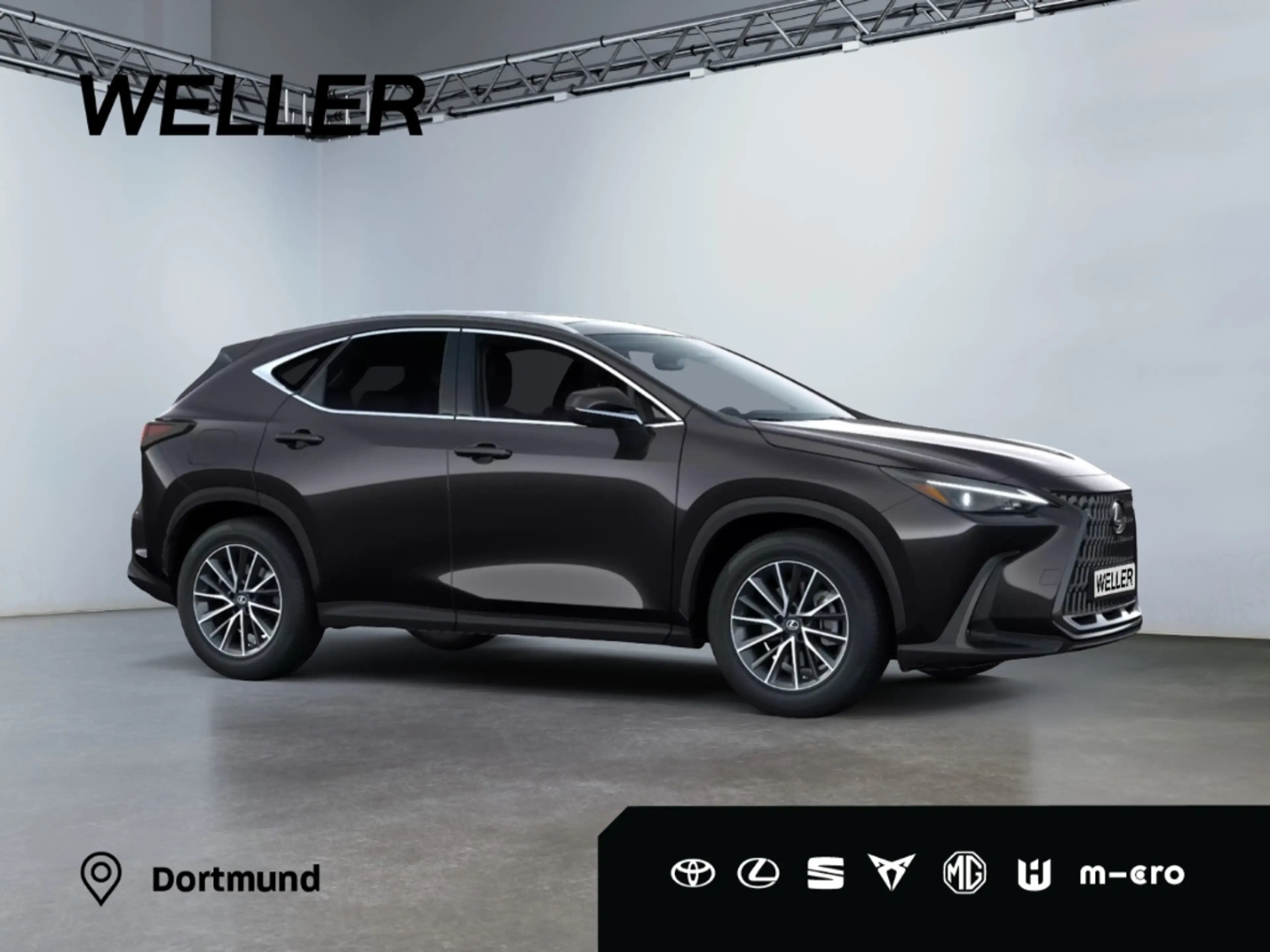 Lexus NX 450h+ 2,5l Plug-in Hybrid 5-Türer ADVANTAG — photo 12