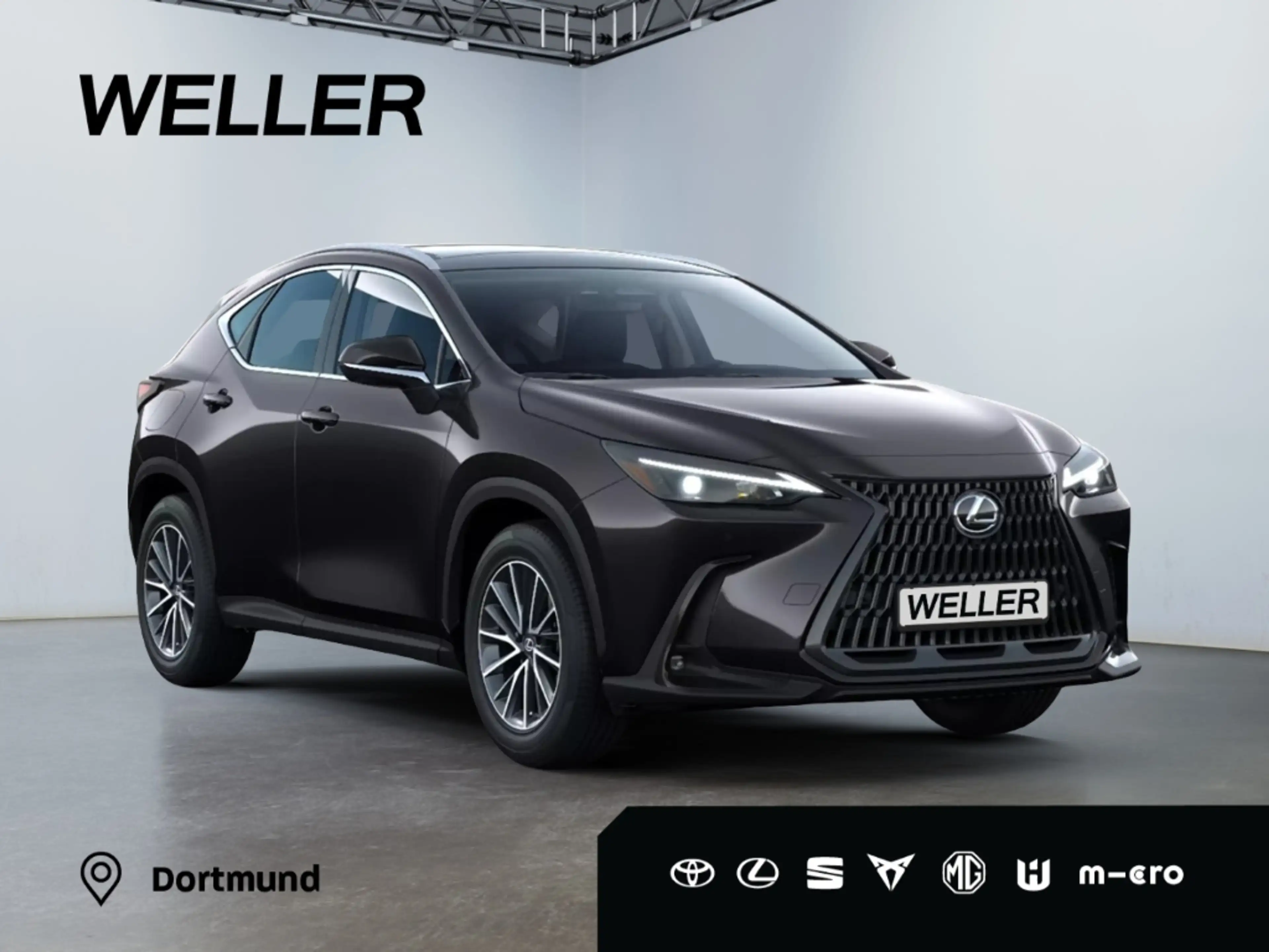 Lexus NX 450h+ 2,5l Plug-in Hybrid 5-Türer ADVANTAG — photo 13