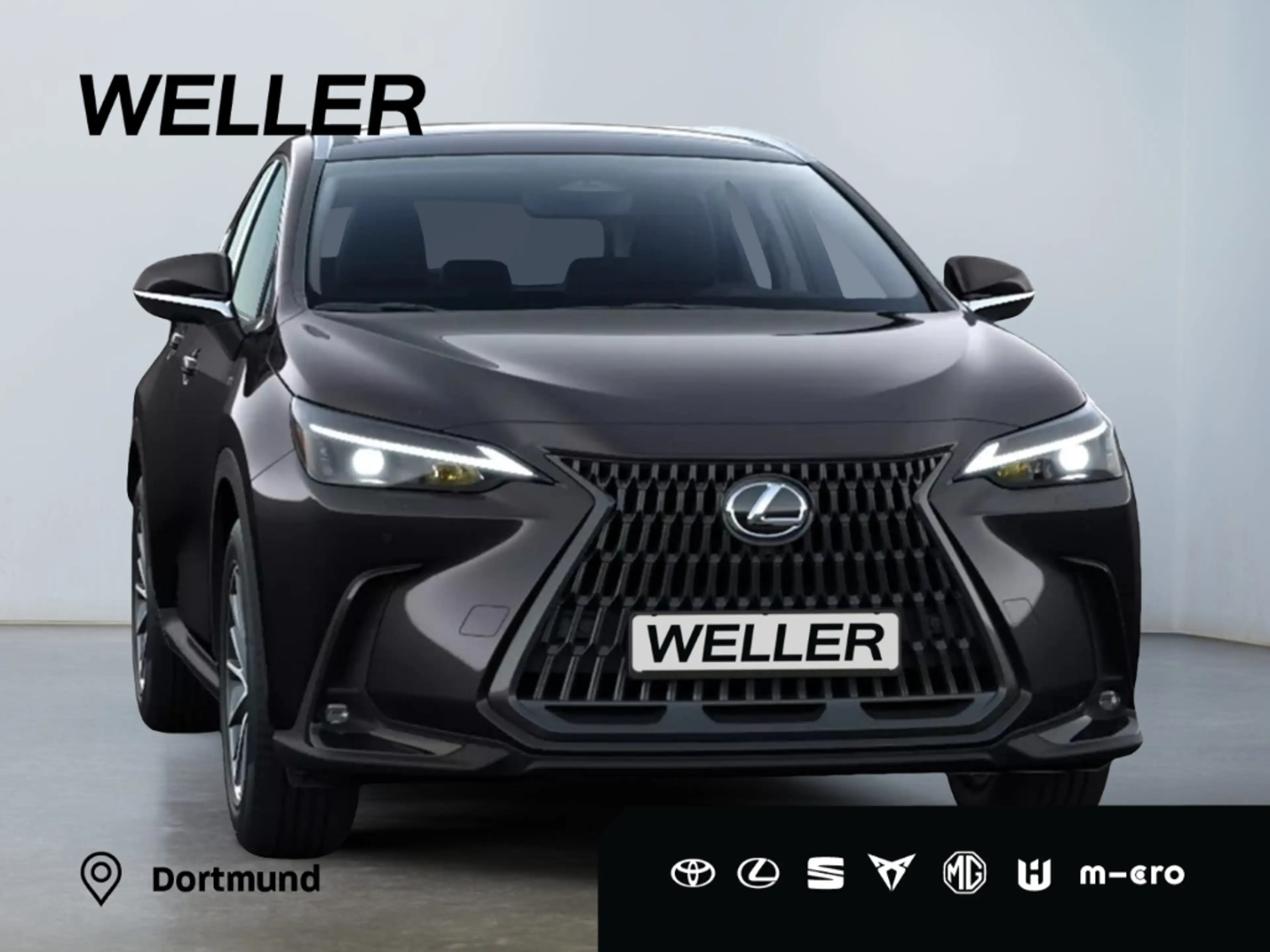 Lexus NX 450h+ 2,5l Plug-in Hybrid 5-Türer ADVANTAG — photo 14