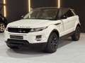 Land Rover Range Rover Evoque 2.0eD4 SE Dynamic 2WD 150 Blanco - thumbnail 1