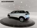 Peugeot 5008 Active Pack Automatik 7-Siter, PDC, Kamera,... Bianco - thumbnail 8
