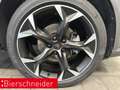 CUPRA Formentor 2.0 TDI AB 299EUR AHK BEATS KAMERA ACC Grau - thumbnail 29