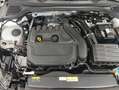 Volkswagen Golf Life e-TSI 130cv DSG Blanco - thumbnail 19