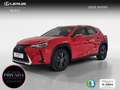 Lexus UX 250h 2.0 Business Rouge - thumbnail 1