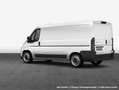 Fiat Ducato L2H2 Easy Pro 88 kW, 4-türig (Diesel) Weiß - thumbnail 7