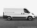 Fiat Ducato L2H2 Easy Pro 88 kW, 4-türig (Diesel) Weiß - thumbnail 4