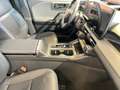 Toyota RAV4 RAV4 5-Türer Lounge 2.5 Hybrid Automatikgetriebe C Rot - thumbnail 15