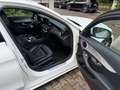 Mercedes-Benz C 250 T 7G-TRONIC AMG Line Navi Klima SHZ. Ambiat. Led Blanco - thumbnail 11
