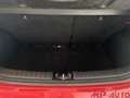 Kia Picanto Picanto 1.0 12V 5 porte Rosso - thumbnail 10