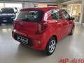 Kia Picanto Picanto 1.0 12V 5 porte Rosso - thumbnail 7