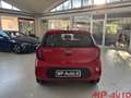 Kia Picanto Picanto 1.0 12V 5 porte Rosso - thumbnail 8