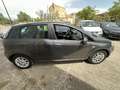 Fiat Punto Evo 5p 1.3 mjt Dynamic s&s 95cv - thumbnail 9