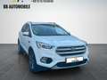 Ford Kuga Titanium 4x4 1.HAND ACC CAM T.LEDER AHK LED Weiß - thumbnail 6