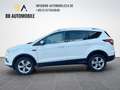 Ford Kuga Titanium 4x4 1.HAND ACC CAM T.LEDER AHK LED Weiß - thumbnail 2