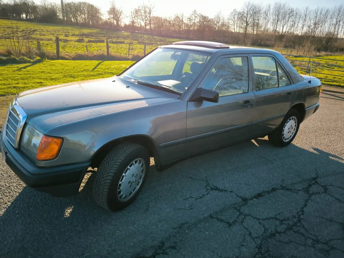Mercedes-Benz 300 Diesel, H-Zulassung, ESSD, Originalzustand Grau - 2