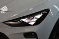 CUPRA Terramar 1.5 eTSI AHK 360Grad HeadUP DCC Bílá - thumbnail 23