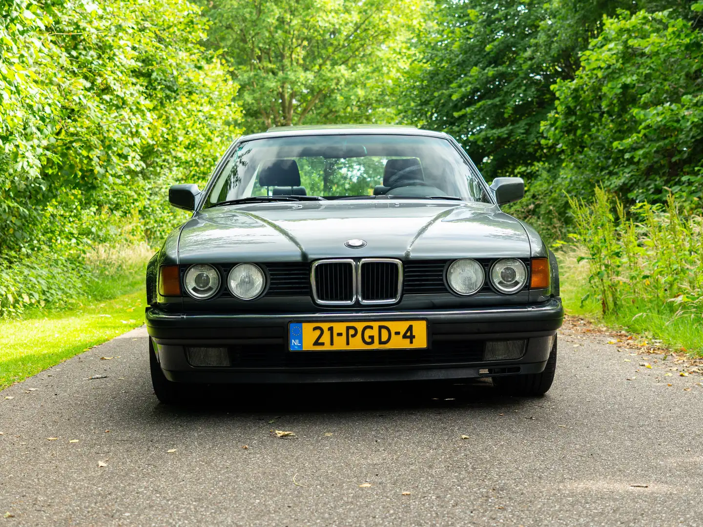 BMW 735 735 735i Grijs - 2