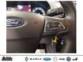 Ford EcoSport 1.0 EcoBoost TITANIUM KAMERA WINTER-P. PDC APP-LIN Alb - thumbnail 12