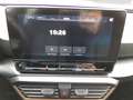CUPRA Formentor 2.0 TSI 4Drive *Navi*ACC*Pano* Gris - thumbnail 13