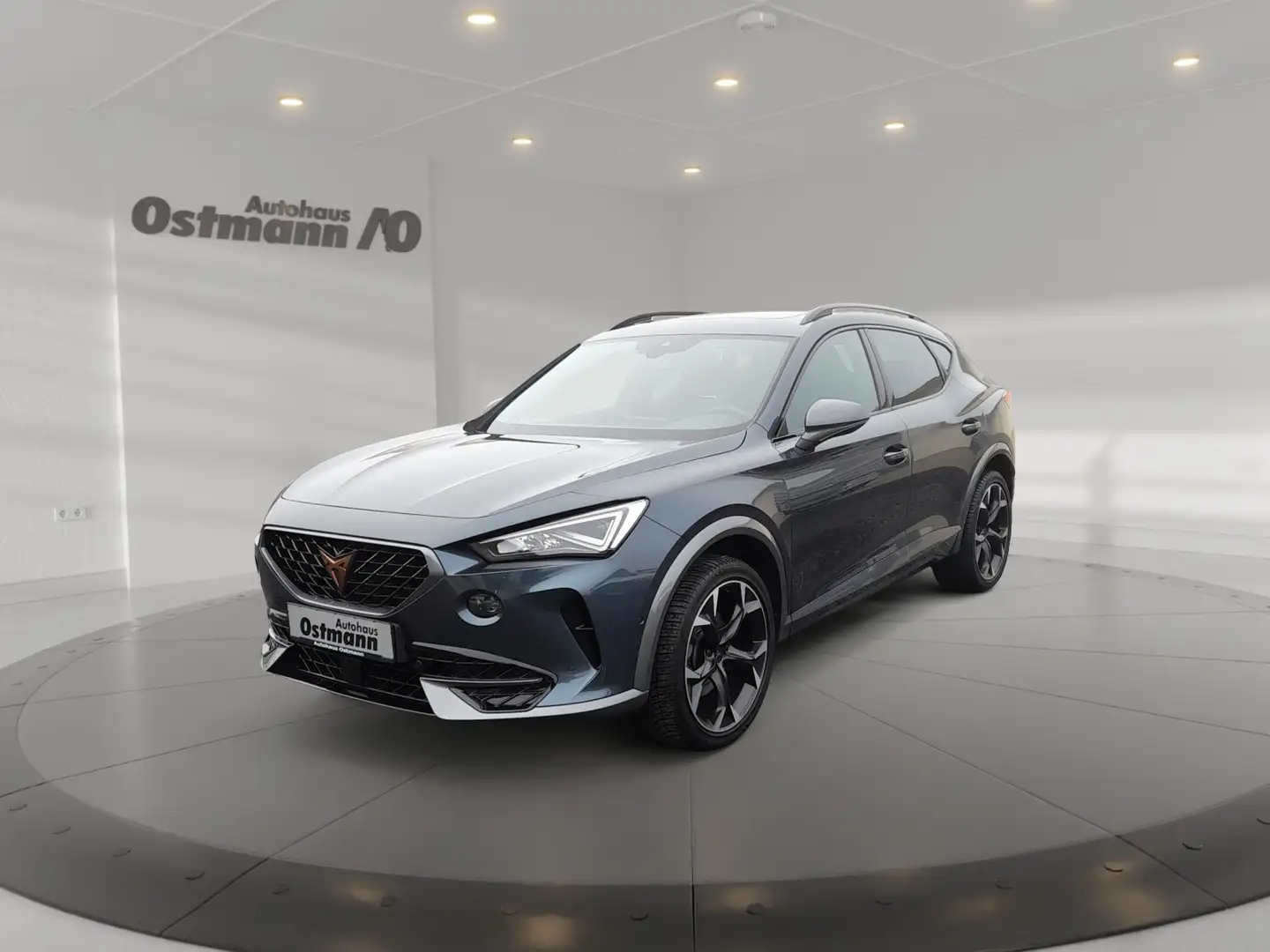 CUPRA Formentor 2.0 TSI 4Drive *Navi*ACC*Pano* Grijs - 1