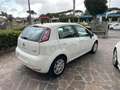 Fiat Punto 5p 1.3 mjt 16v Street 75cv E5+ Bianco - thumbnail 6