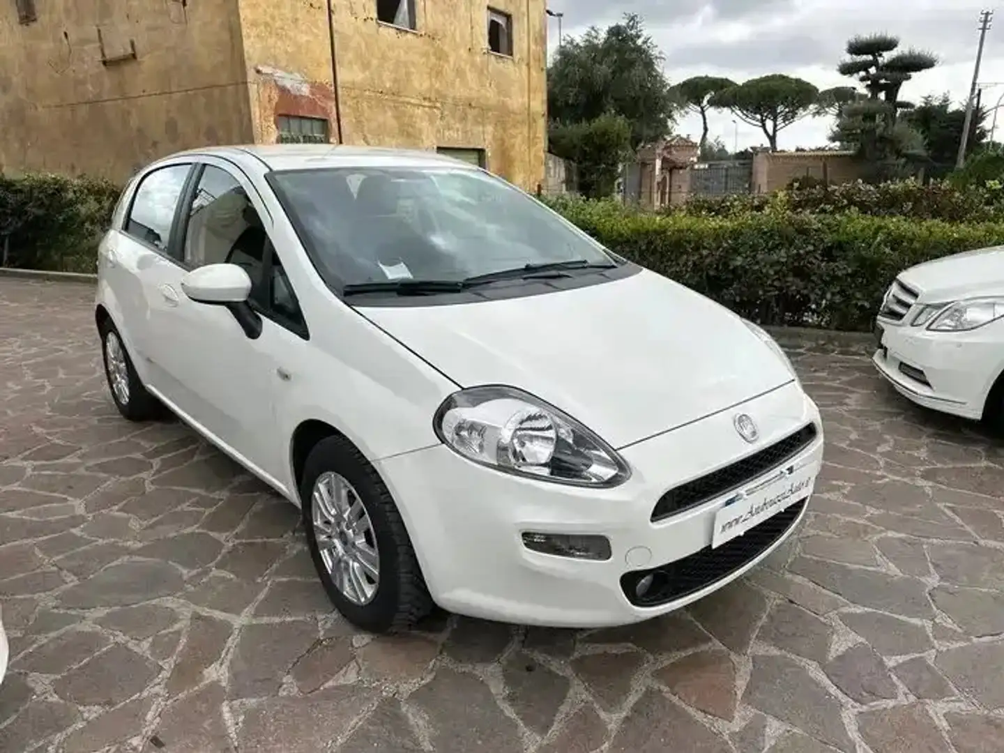 Fiat Punto 5p 1.3 mjt 16v Street 75cv E5+ Bianco - 1
