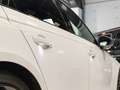 Audi RS4 Avant TFSI Competition plus quattro tiptronic Blanco - thumbnail 42
