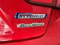 Suzuki Ignis 1.2 Hybrid iAdventure 4WD ALLGRIP Rosso - thumbnail 4
