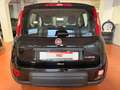 Fiat Panda Panda 1.0 firefly hybrid City Life Nero - thumbnail 5