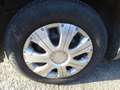 Fiat Punto 1.2 EL 5P. Grigio - thumbnail 15