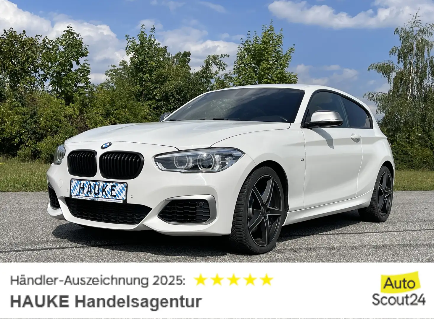 BMW 135 M135ix Allrad M-Performence Harman-K. Navi Leder Alb - 1