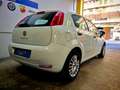 Fiat Punto Punto 1.2 Street 5 Porte My18 Weiß - thumbnail 4